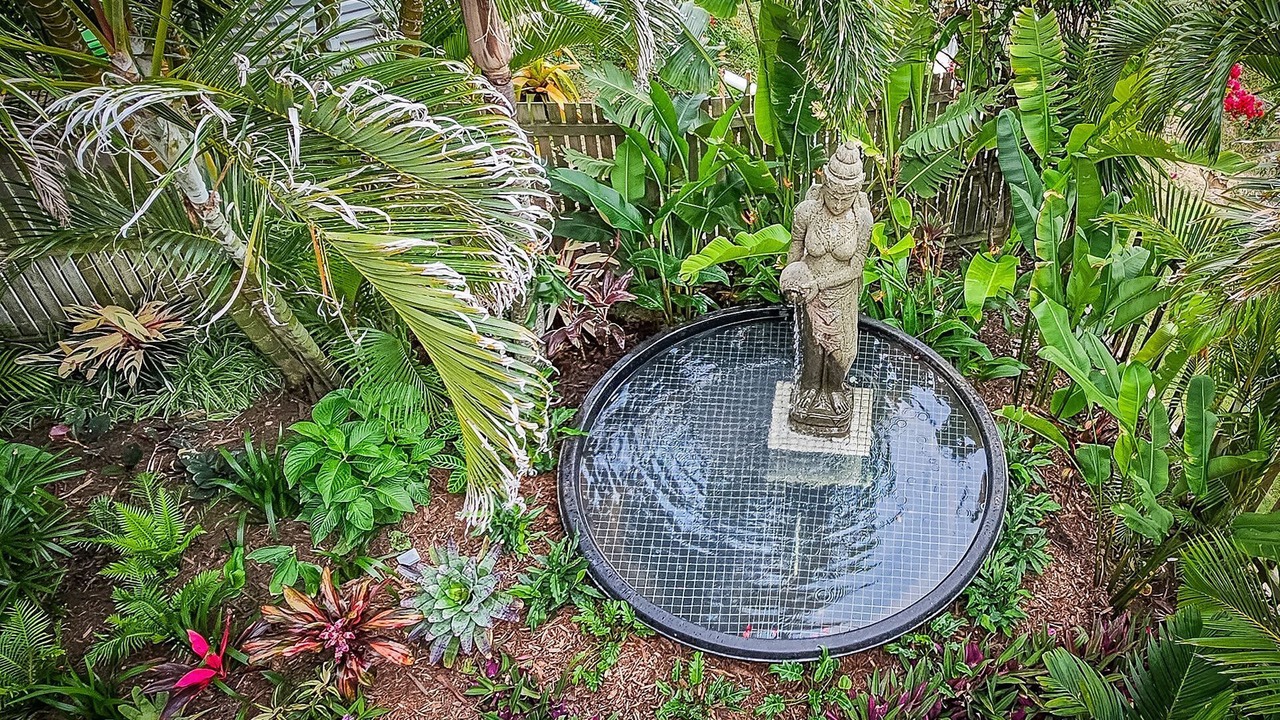 Photo of Outdoor in Agnes Water