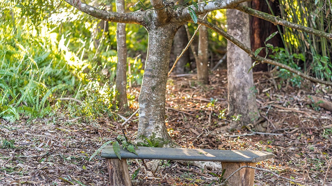 Photo of Outdoor in Bangalow