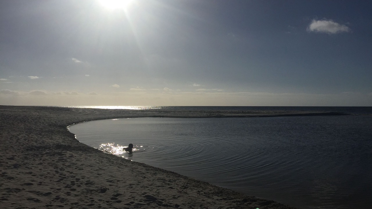 Photo of Others in Peppermint Grove Beach