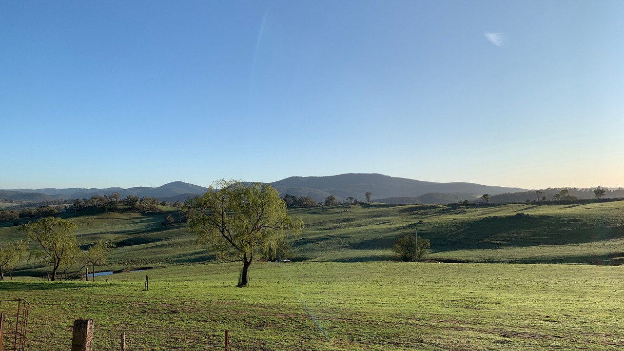 Photo of Outdoor in Duckmaloi