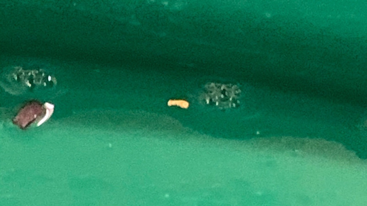 Photo of Others in Duckmaloi