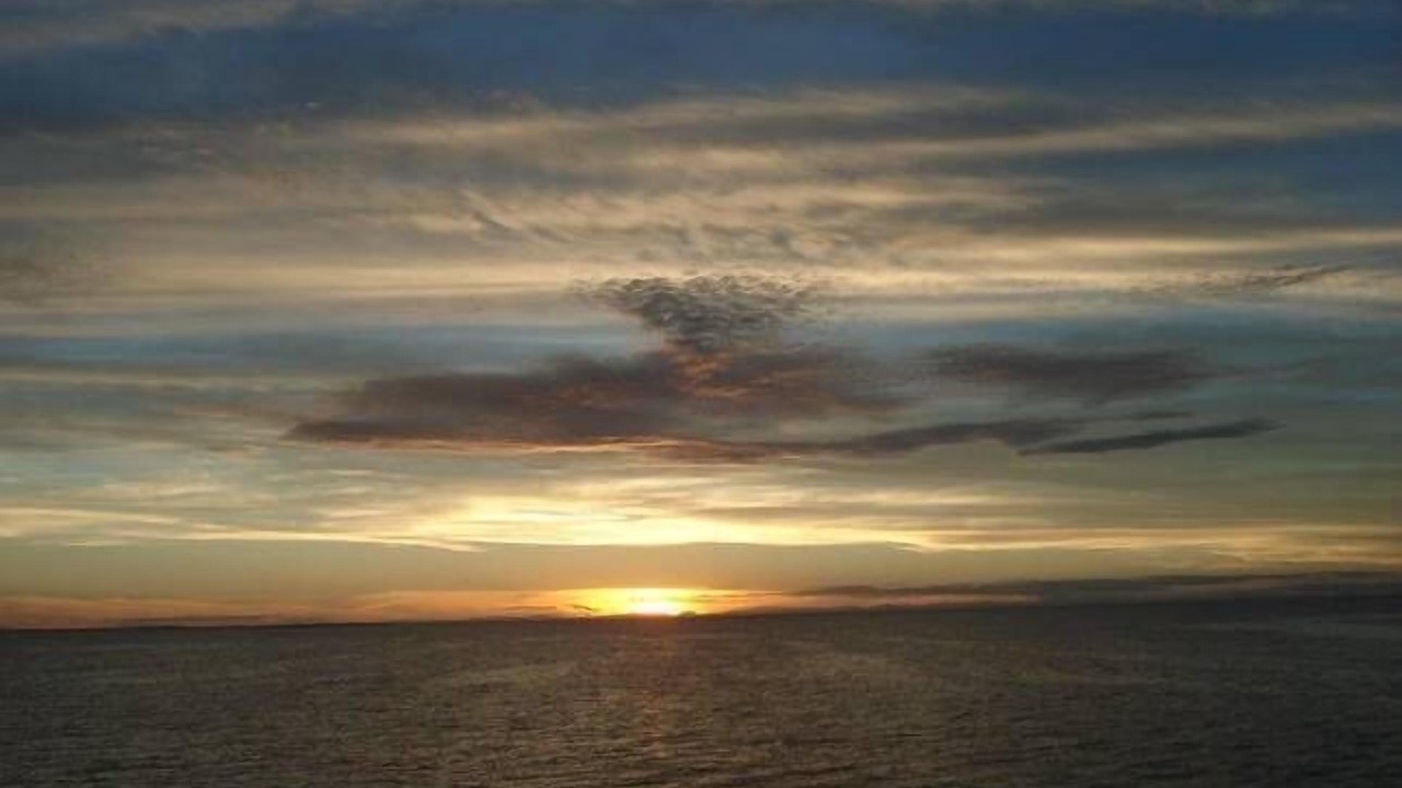 Photo of Others in Port Hughes