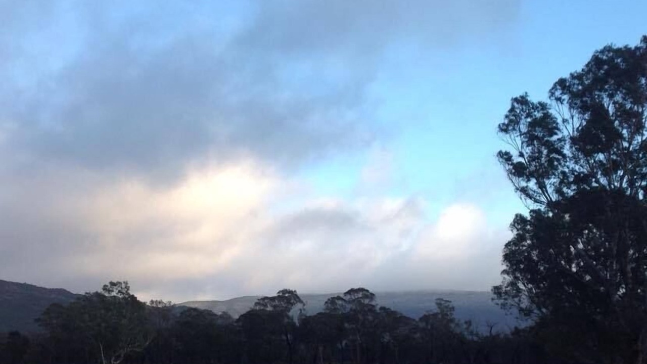 Photo of Others in Halls Gap