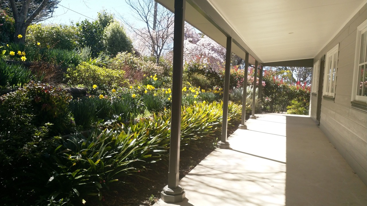 Photo of Outdoor in Mount Victoria