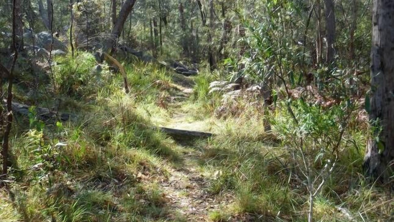 Photo of Outdoor in Mount Tully