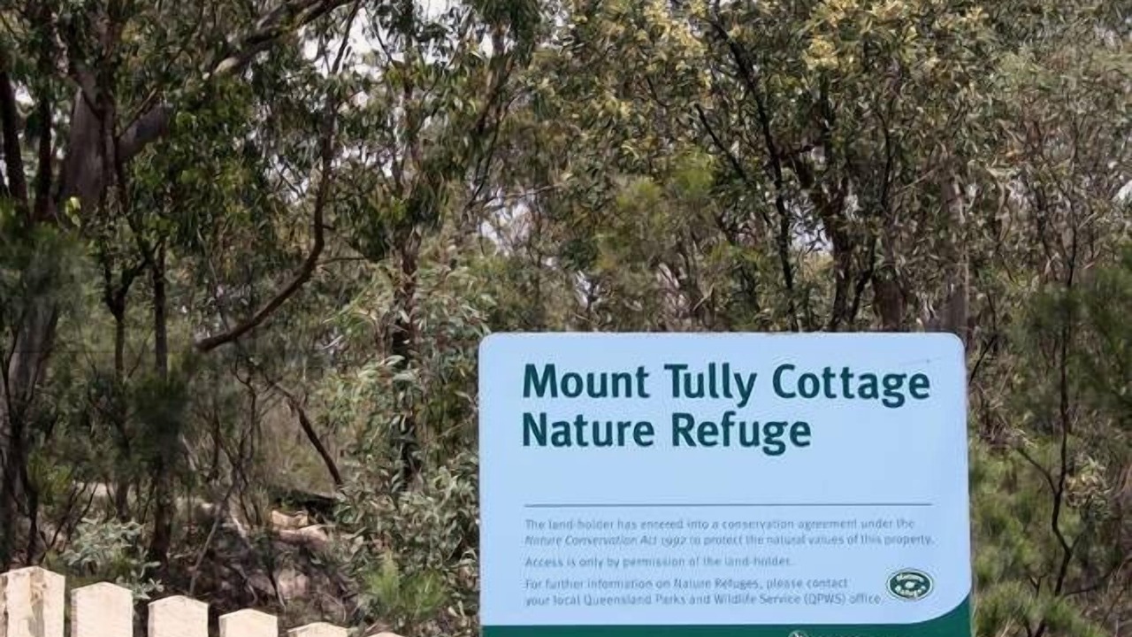 Photo of Others in Mount Tully