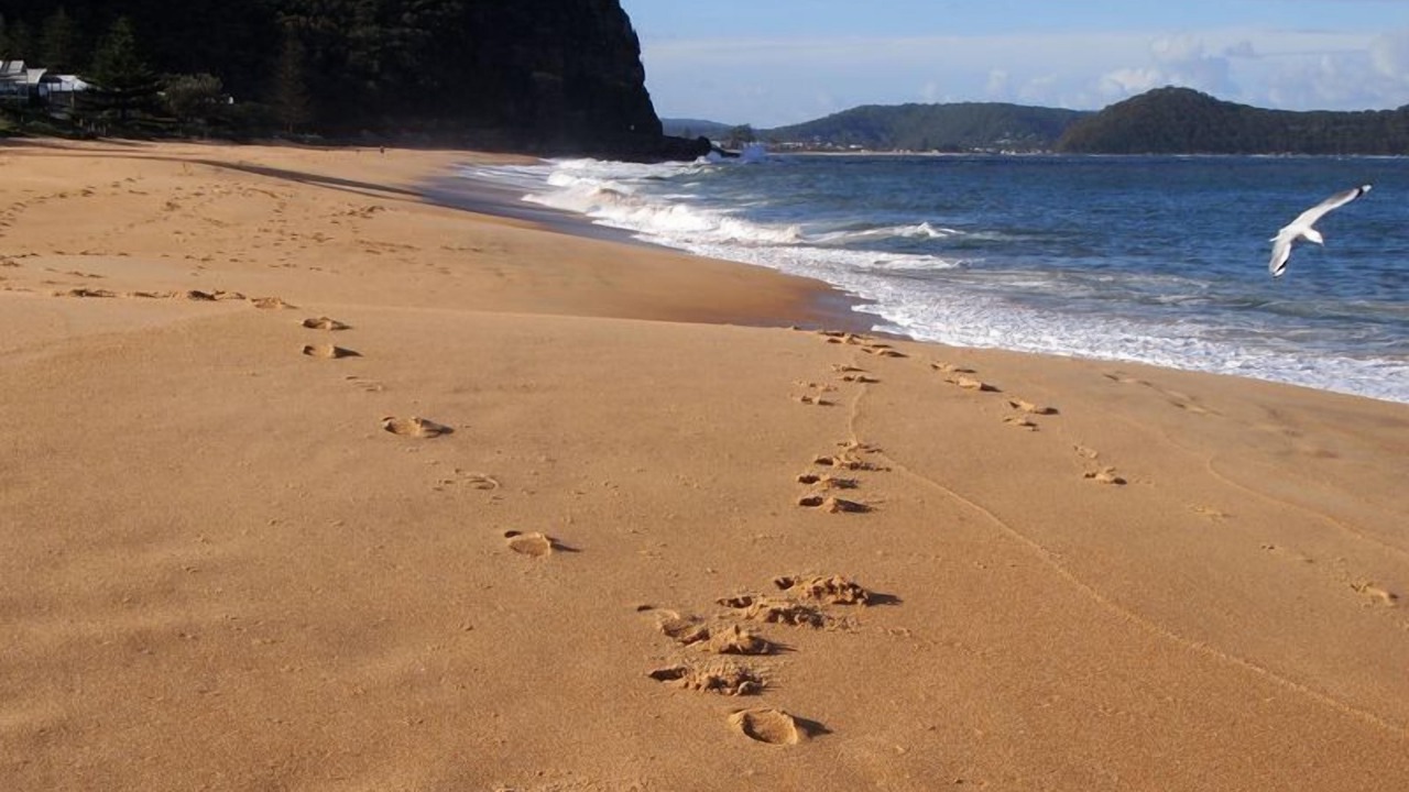 Photo of Others in Pearl Beach