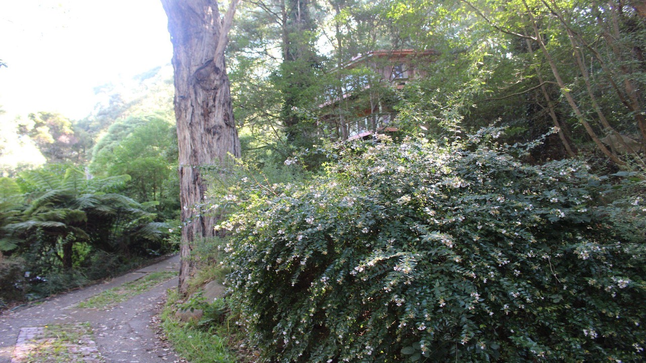 Photo of Others in Kalorama