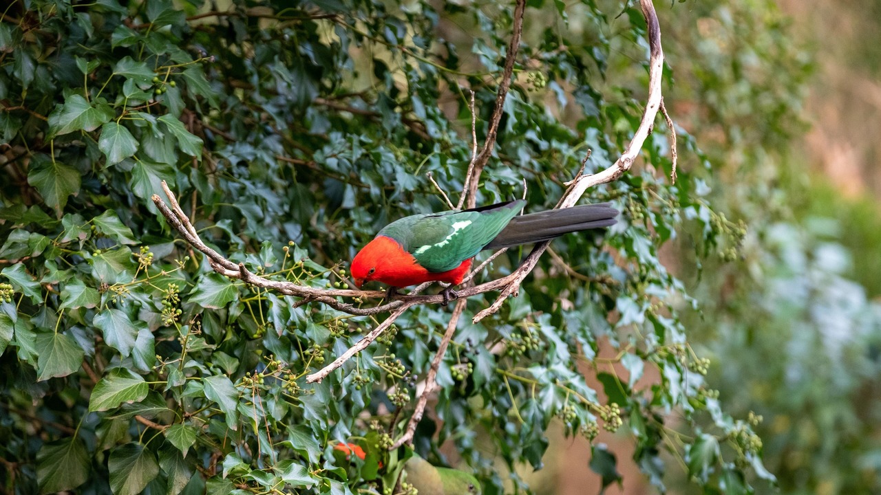 Photo of Outdoor in Kalorama