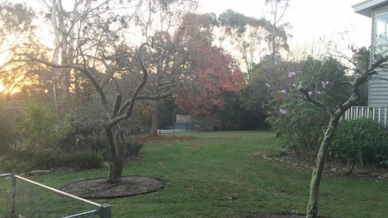 Photo of Outdoor in Red Hill South