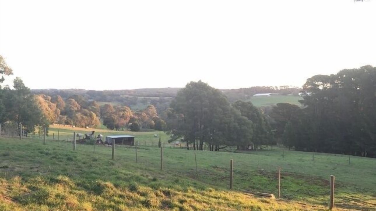 Photo of Others in Red Hill South
