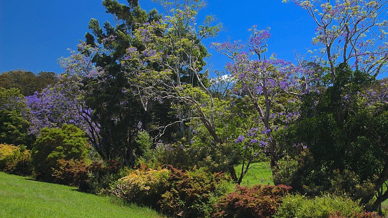 Photo of Outdoor in Kalang