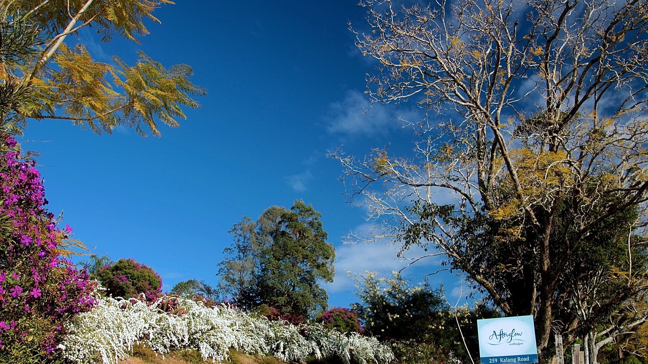 Photo of Outdoor in Kalang