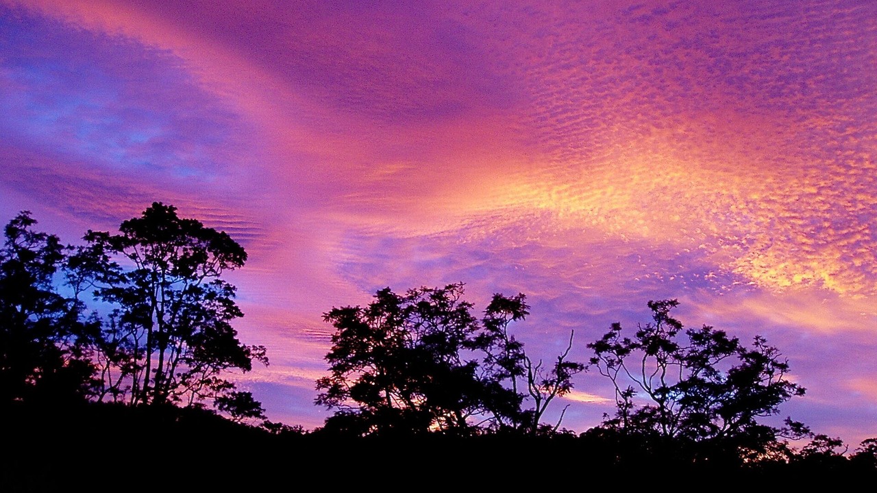 Photo of Outdoor in Kalang