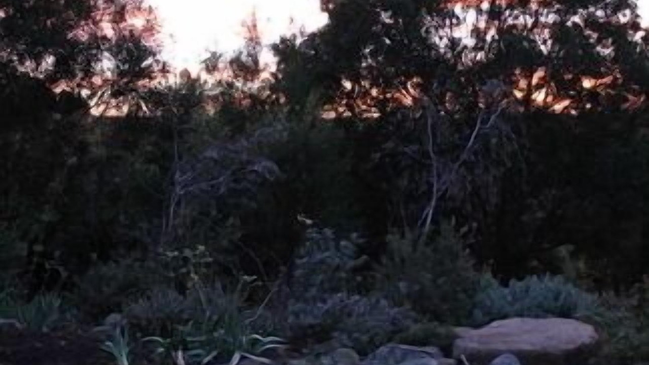 Photo of Outdoor in Croobyar
