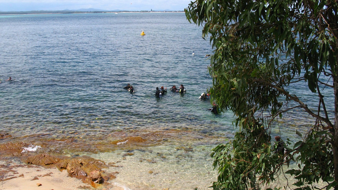 Photo of Others in Nelson Bay