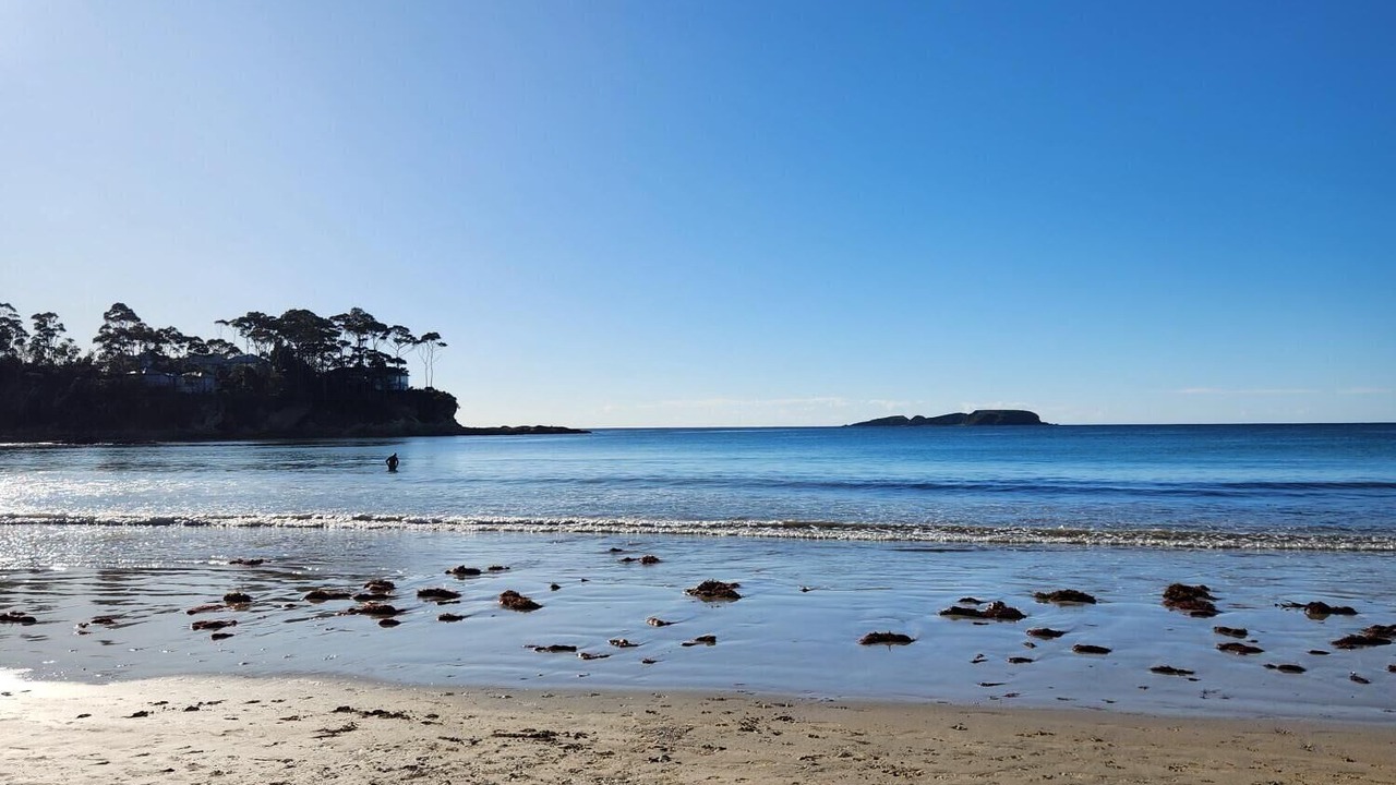 Photo of Others in Denhams Beach