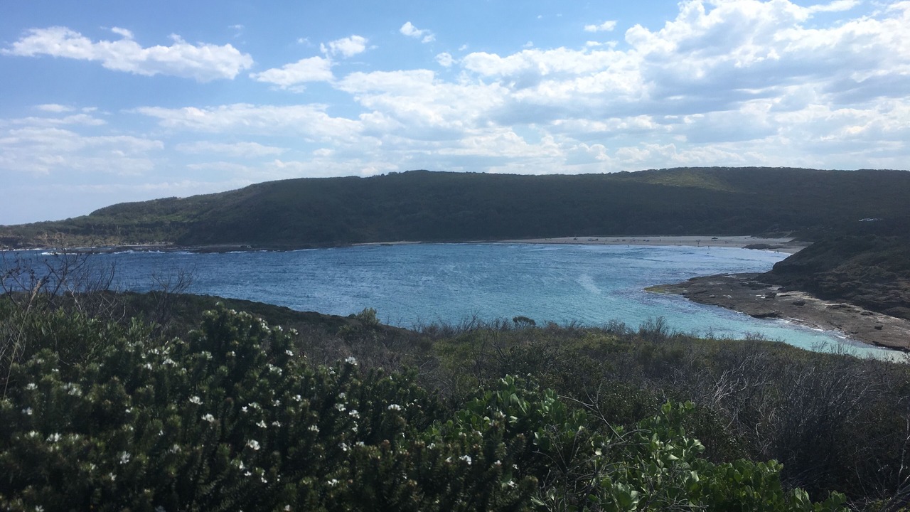 Photo of Others in Summerland Point
