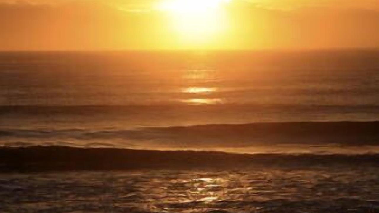 Photo of Others in Sawtell