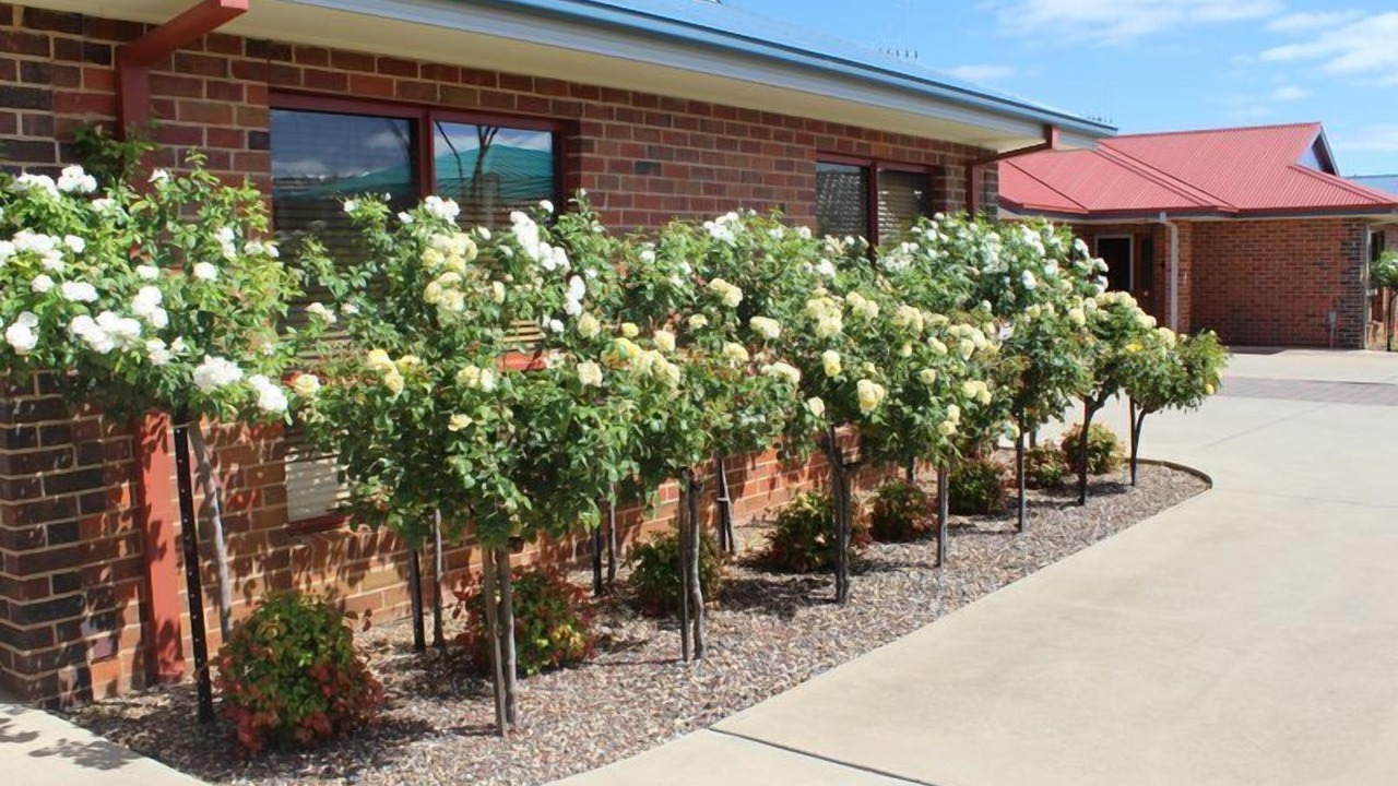 Photo of Outdoor in Swan Hill