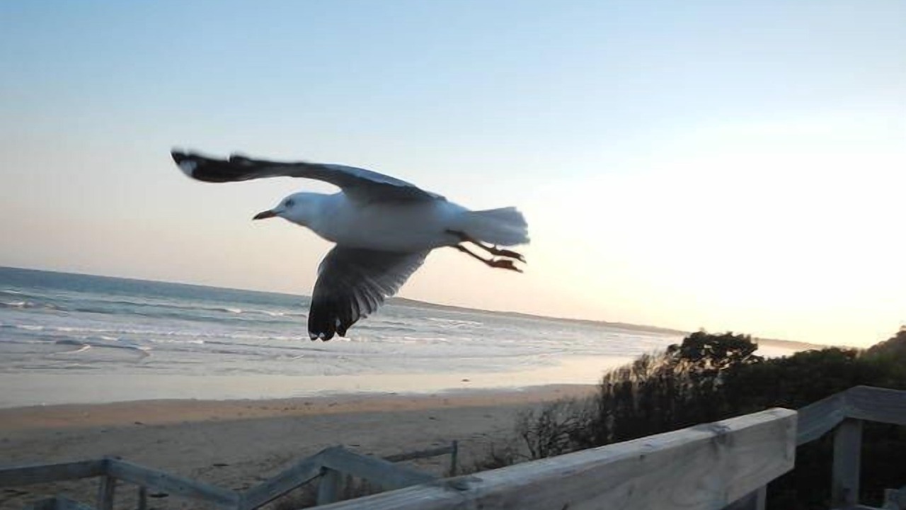 Photo of Others in Ocean Grove