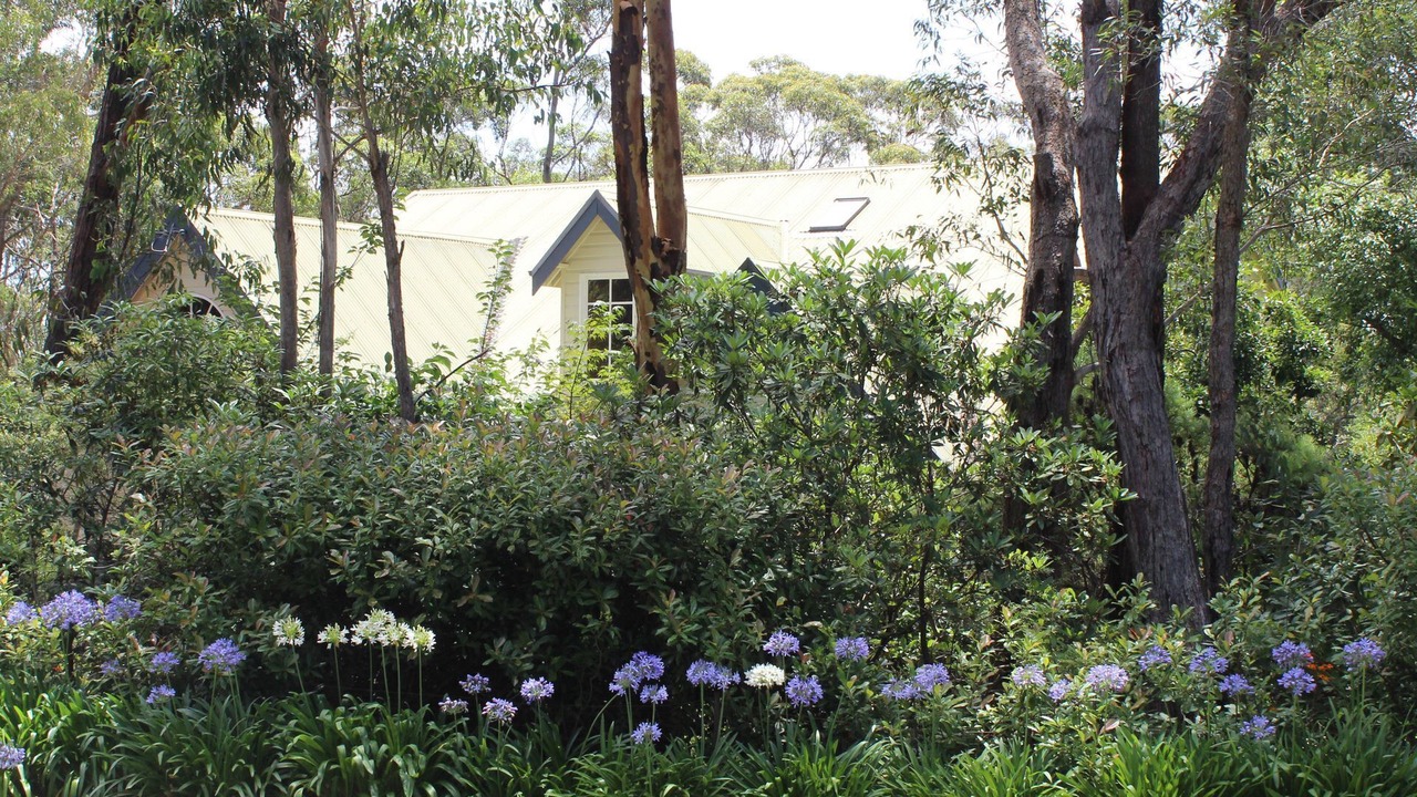 Photo of Others in Wentworth Falls