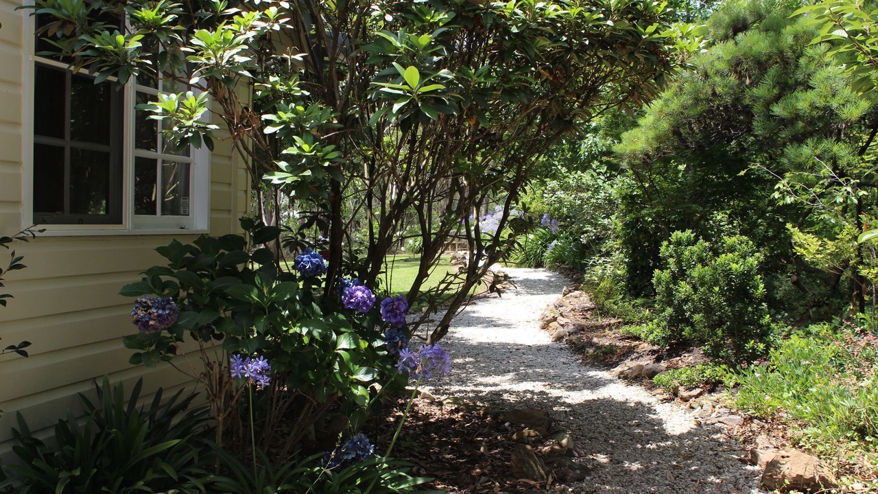 Photo of Others in Wentworth Falls