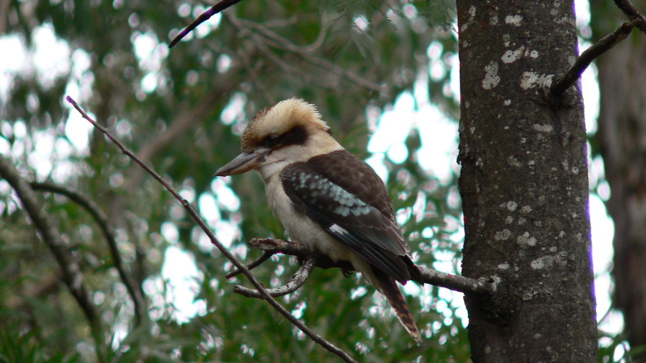 Photo of Outdoor in Badger Creek