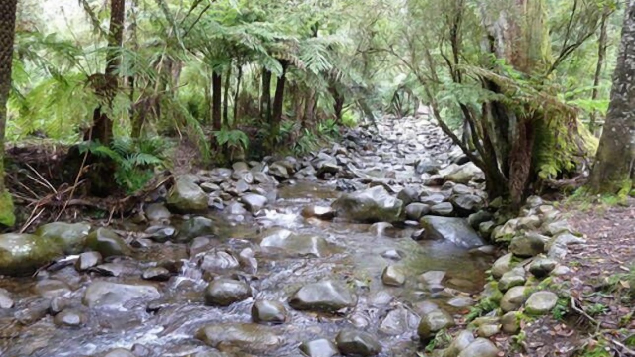 Photo of Outdoor in Badger Creek