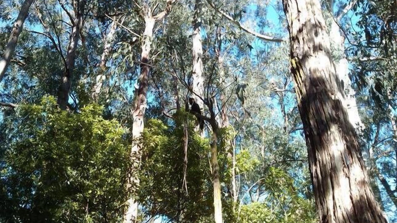 Photo of Others in Badger Creek