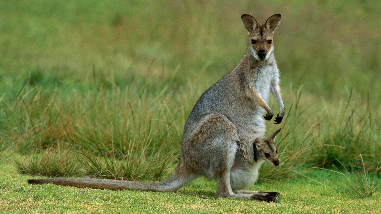 Photo of Others in Yallingup