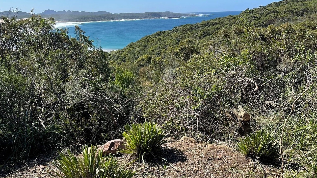 Photo of Outdoor in Boat Harbour