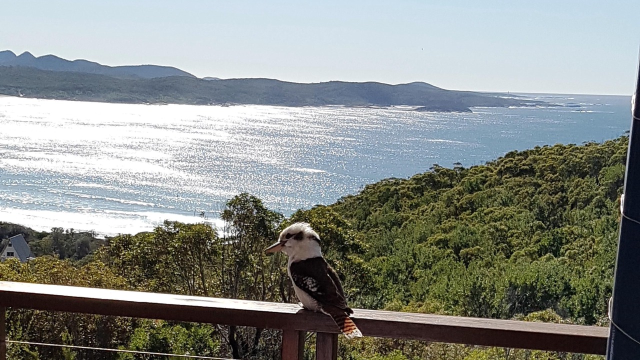 Photo of Patio Balcony in Boat Harbour