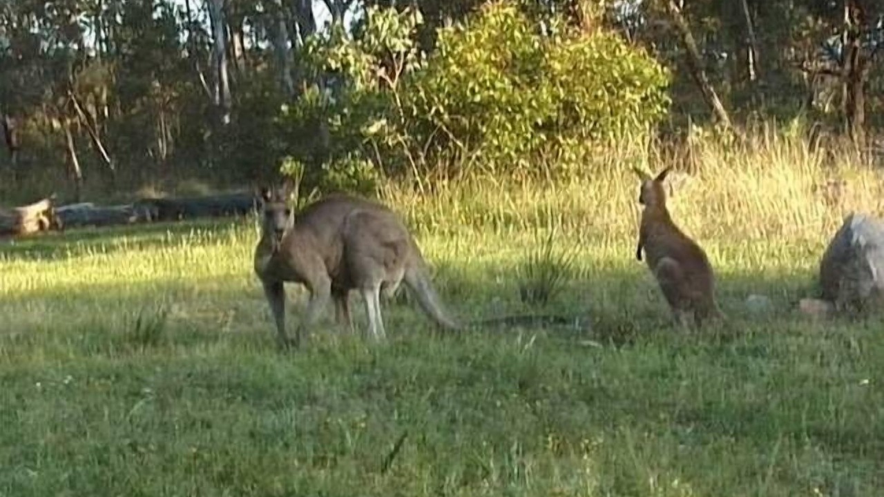 Photo of Others in Vacy