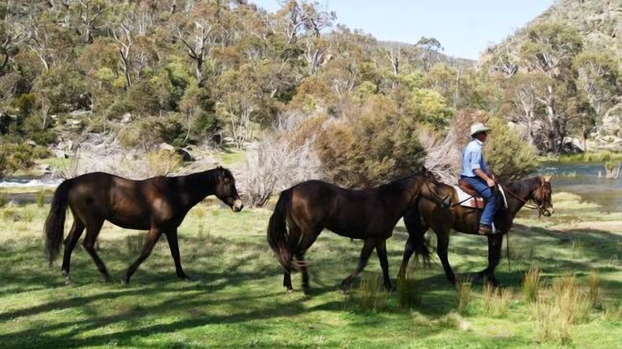 Photo of Others in Jindabyne