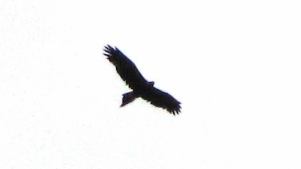 Photo of Others in Jindabyne