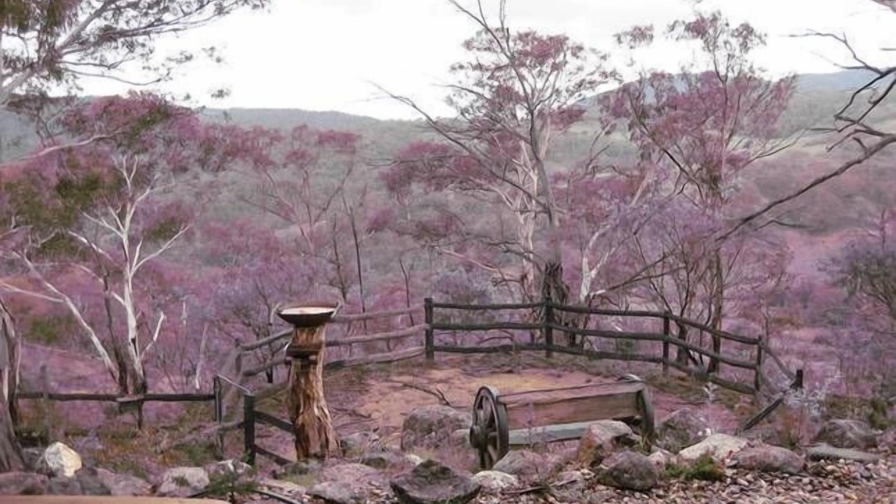 Photo of Outdoor in Jindabyne