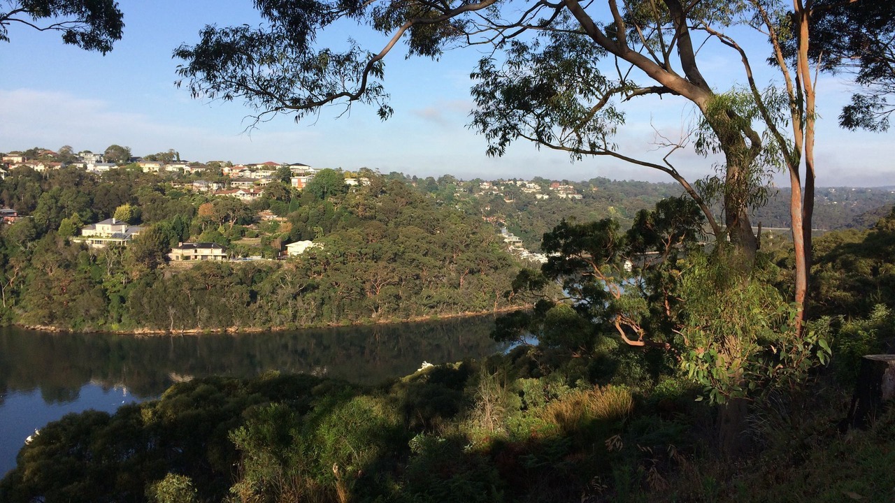Photo of Others in Killarney Heights
