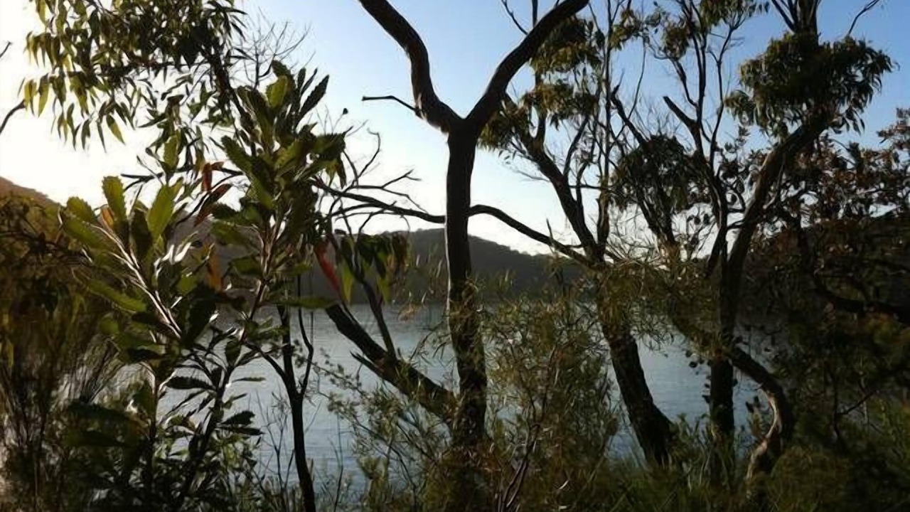 Photo of Others in Killarney Heights
