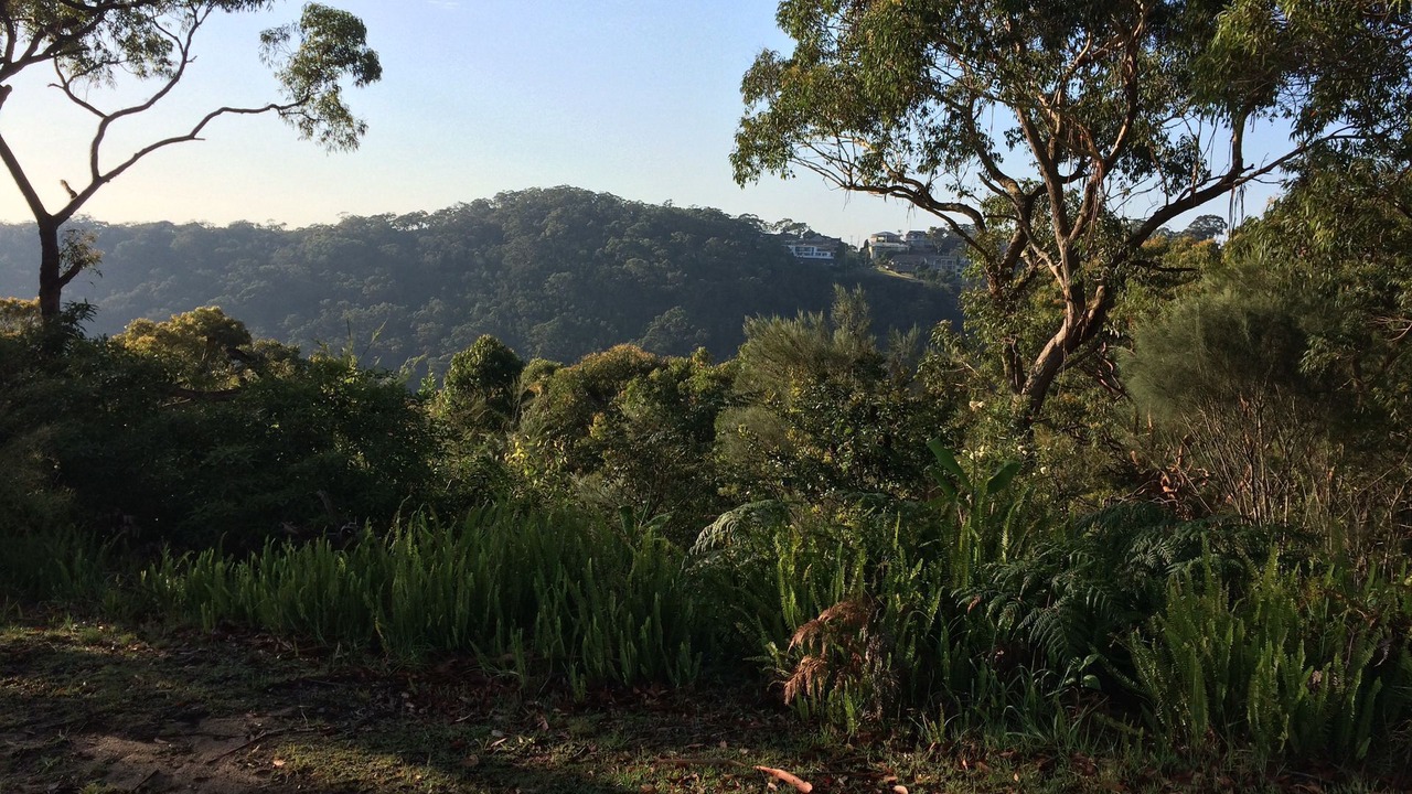 Photo of Others in Killarney Heights