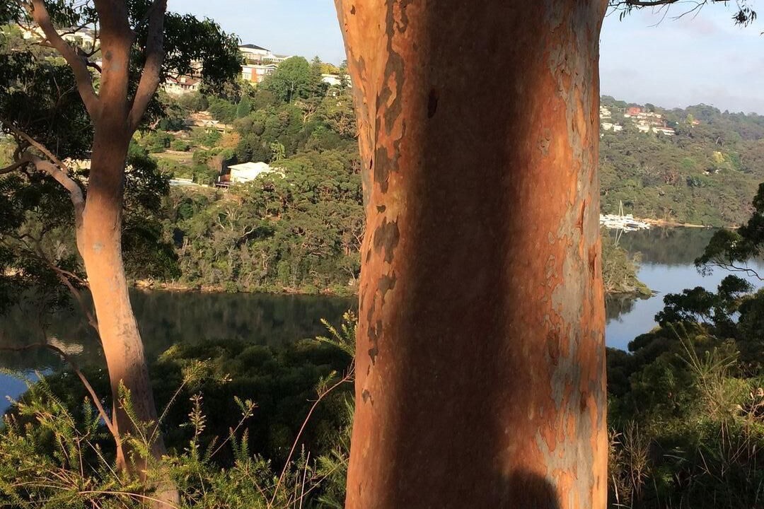 Photo of Others in Killarney Heights