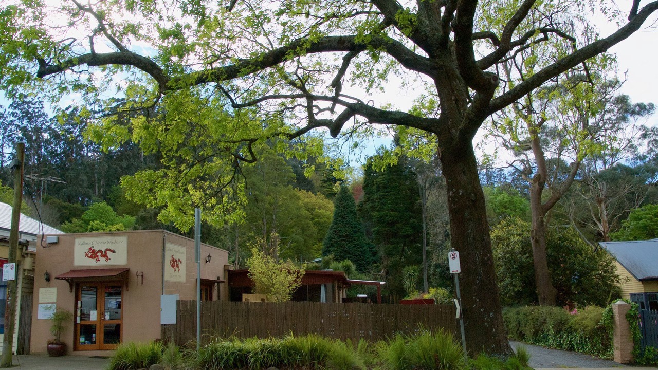 Photo of Outdoor in Kallista