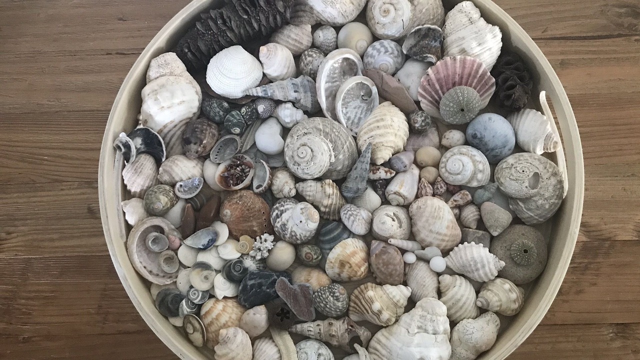 Photo of Others in Surf Beach