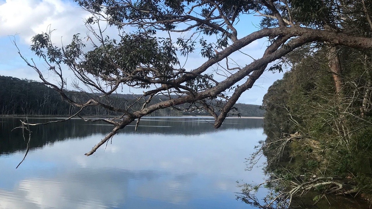 Photo of Outdoor in South Durras
