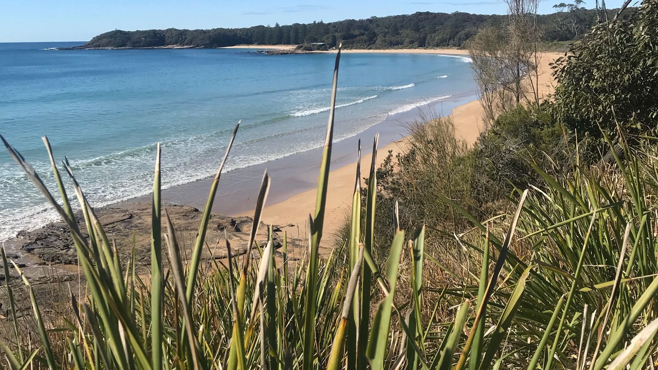 Photo of Others in South Durras