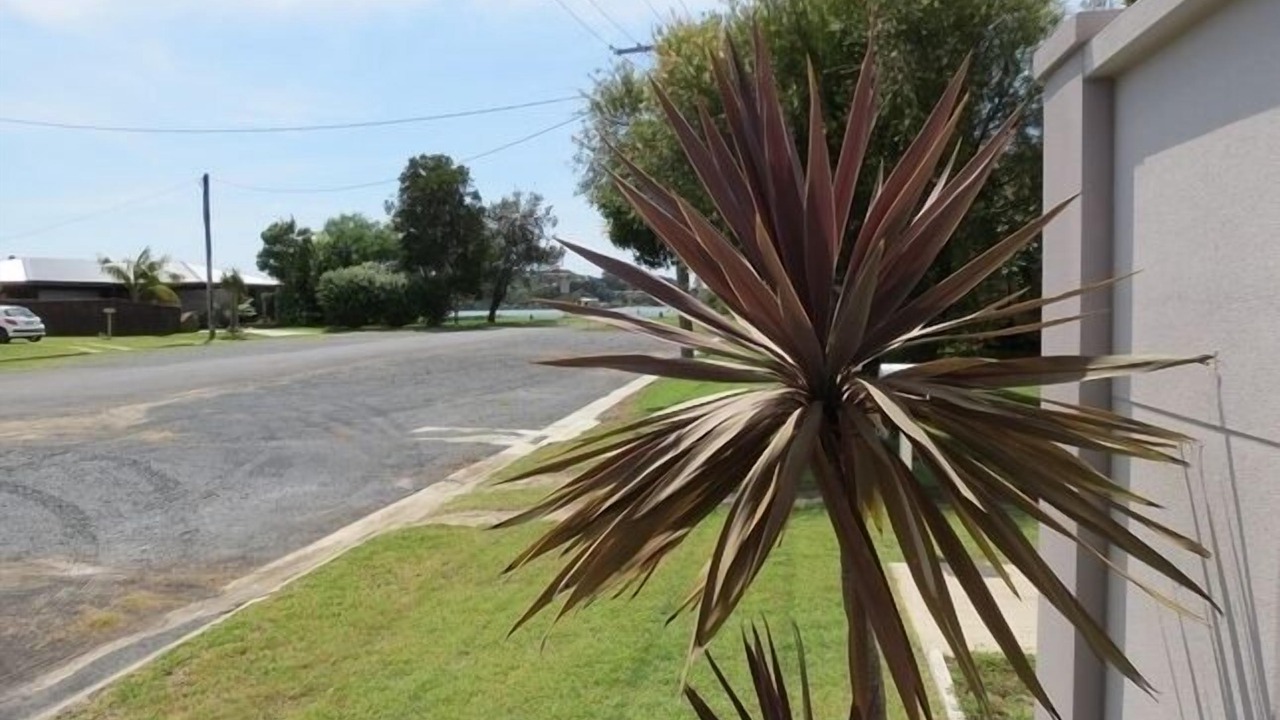 Photo of Others in Ballina