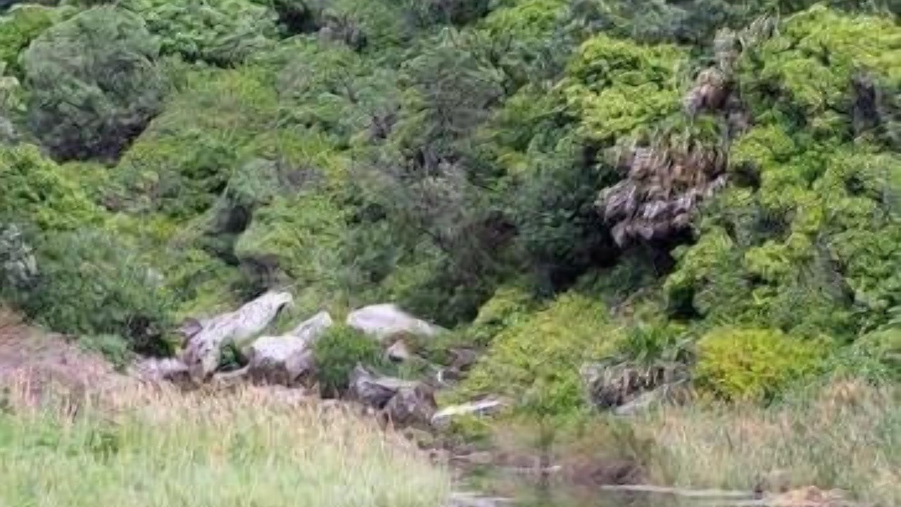 Photo of Outdoor in Coalcliff