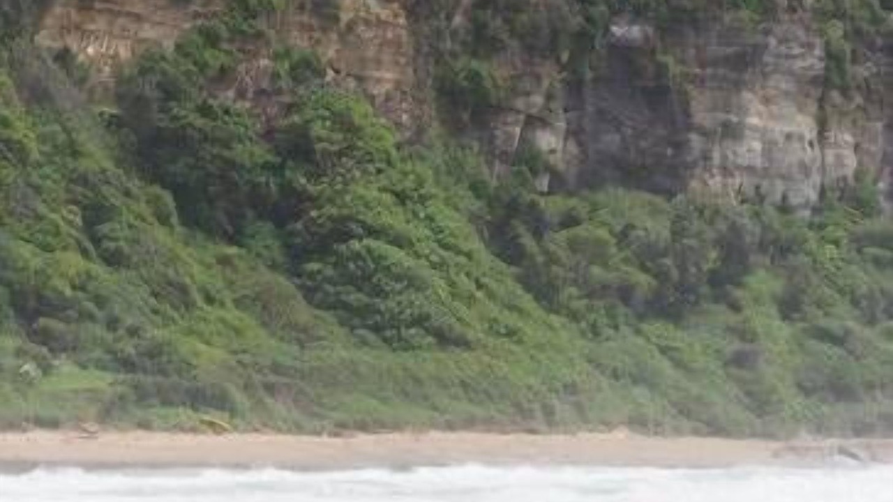 Photo of Others in Coalcliff