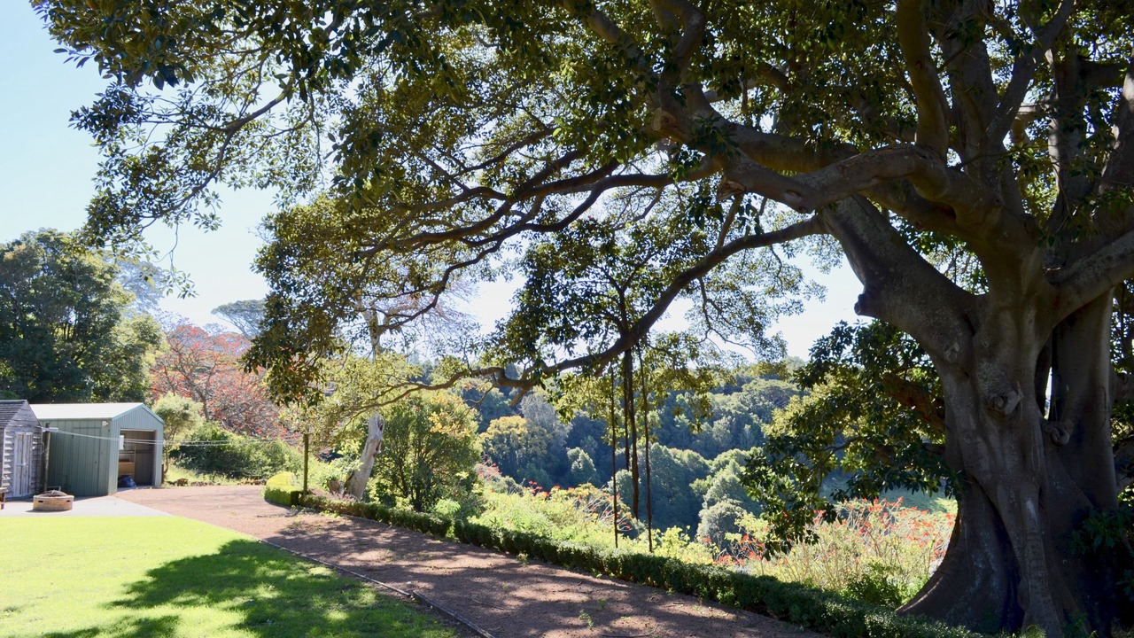Photo of Outdoor in Kiama