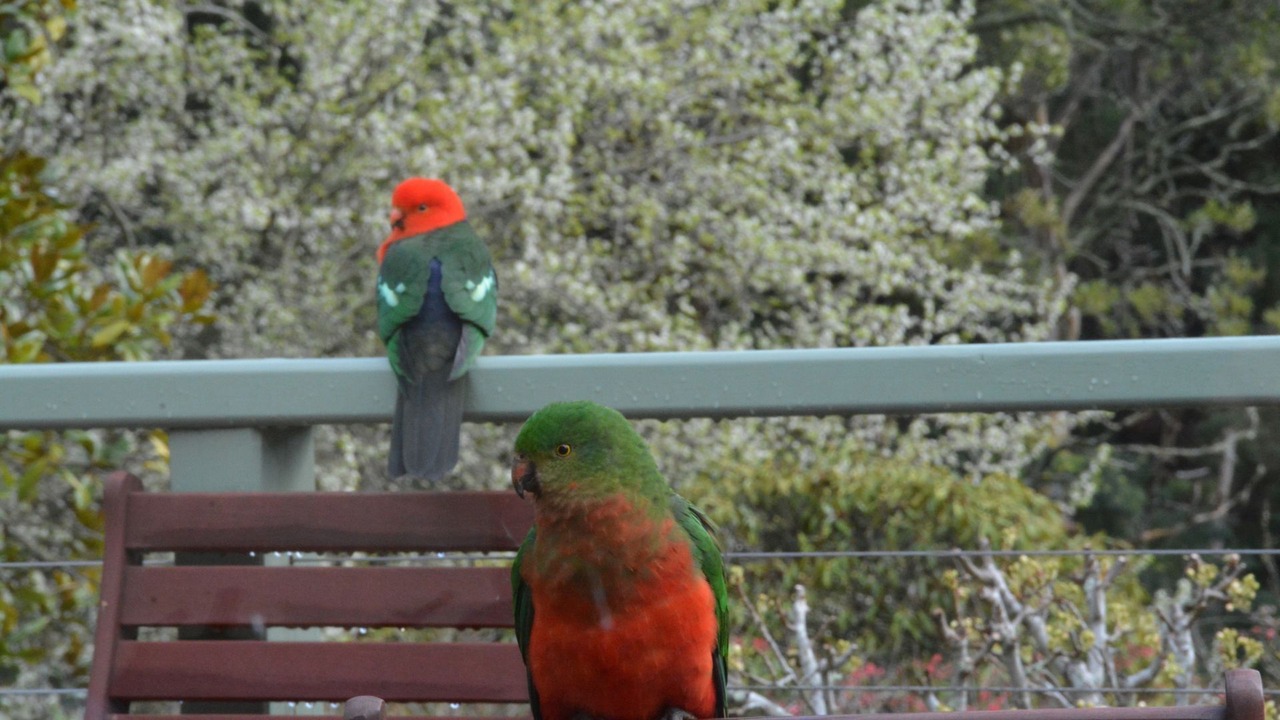 Photo of Outdoor in Warburton